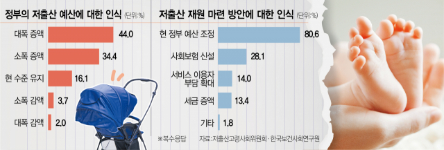 [서울경제] [단독] 국민 80% "예산 조정해 저출산 재원마련을" : [보도기사] 최슬기 교수