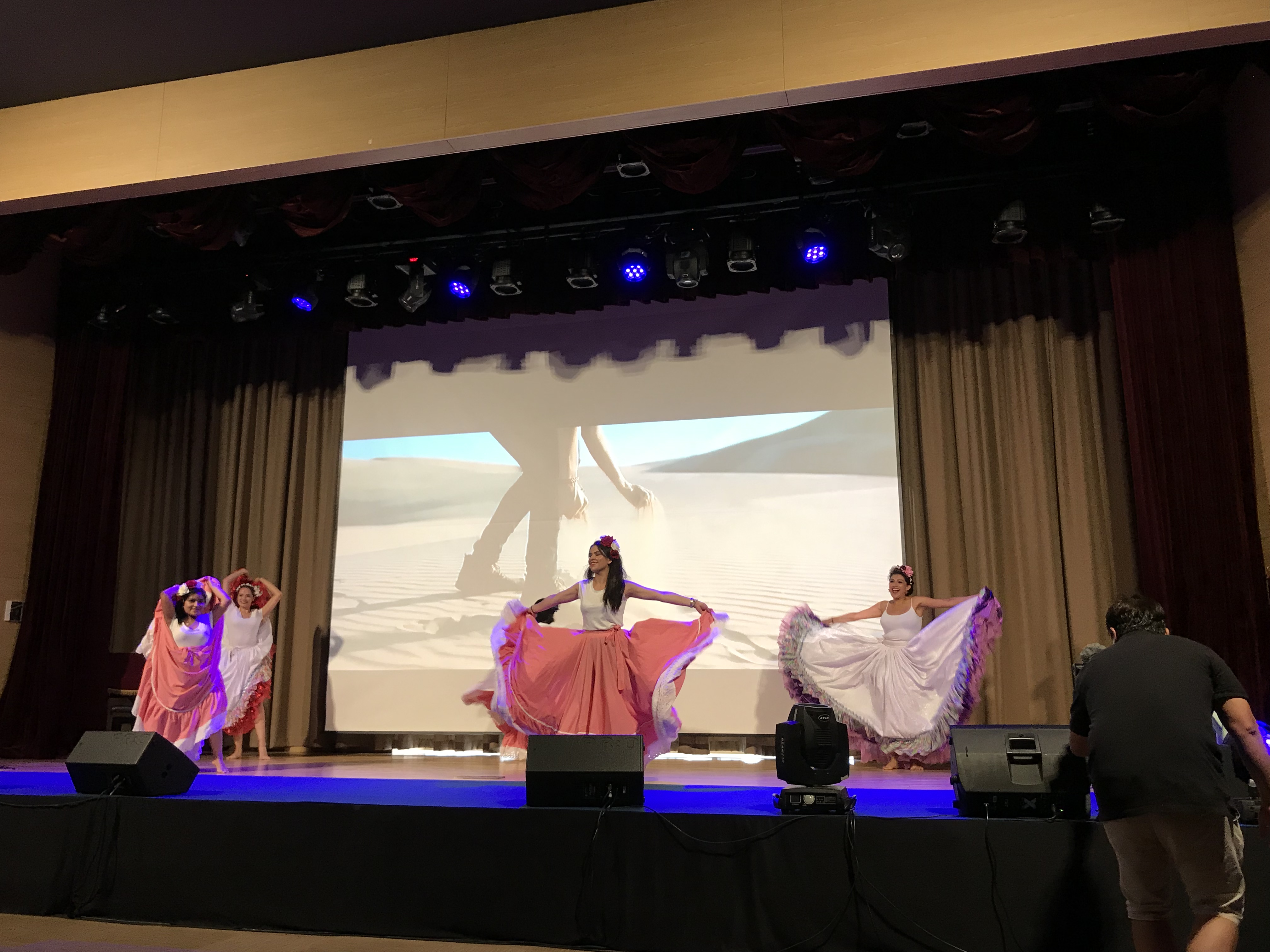 2019 Song & Dance Festival: Stage of Diversity